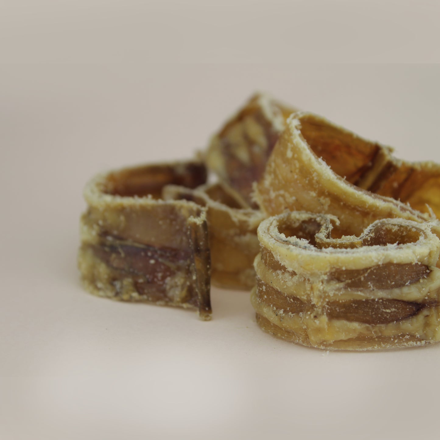 Aritos de Tráquea