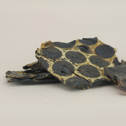 Laminitas de Hígado