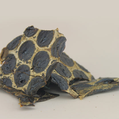 Laminitas de Hígado